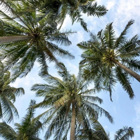 Meet your Posher, Lisa - Picture 1 of 1